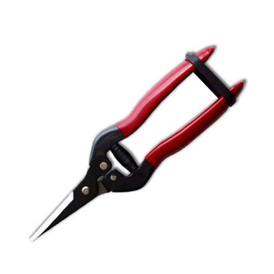 Купить SINSEUNG X3 Hardware ножницы с щелочным черным красителем покрытия на кончиках лезвия Производство в сети