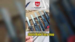 260114-1 СИНСЕУН ВИДЕО